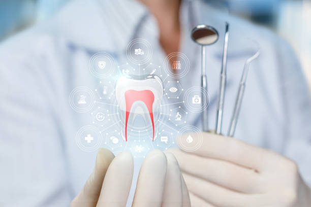 Best General Dentistry  in Boulevard Gardens, FL