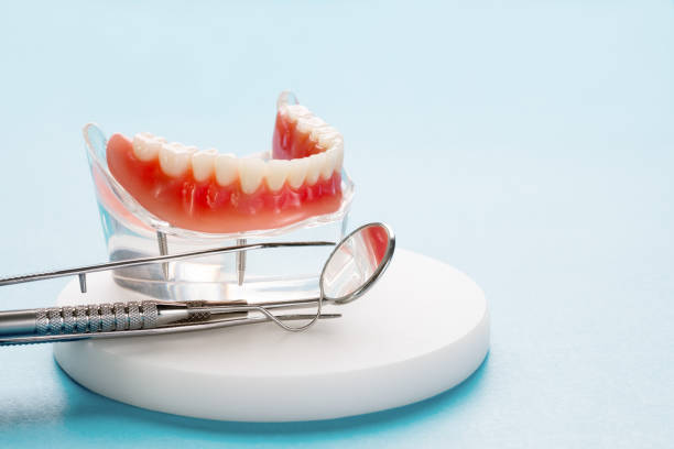 Best Periodontal (Gum) Disease Treatment  in Boulevard Gardens, FL